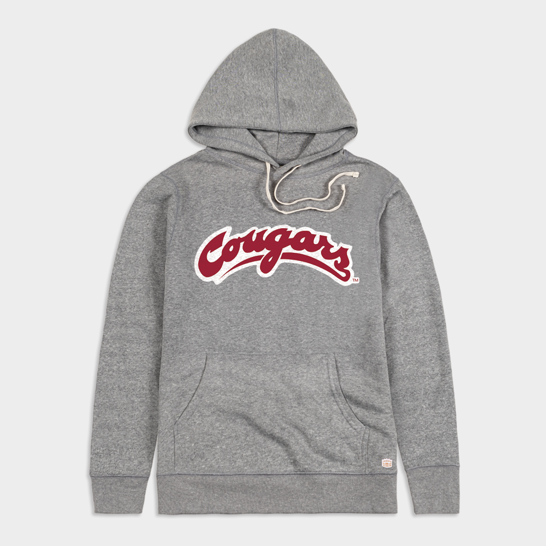 Washington state 2025 cougars hoodie