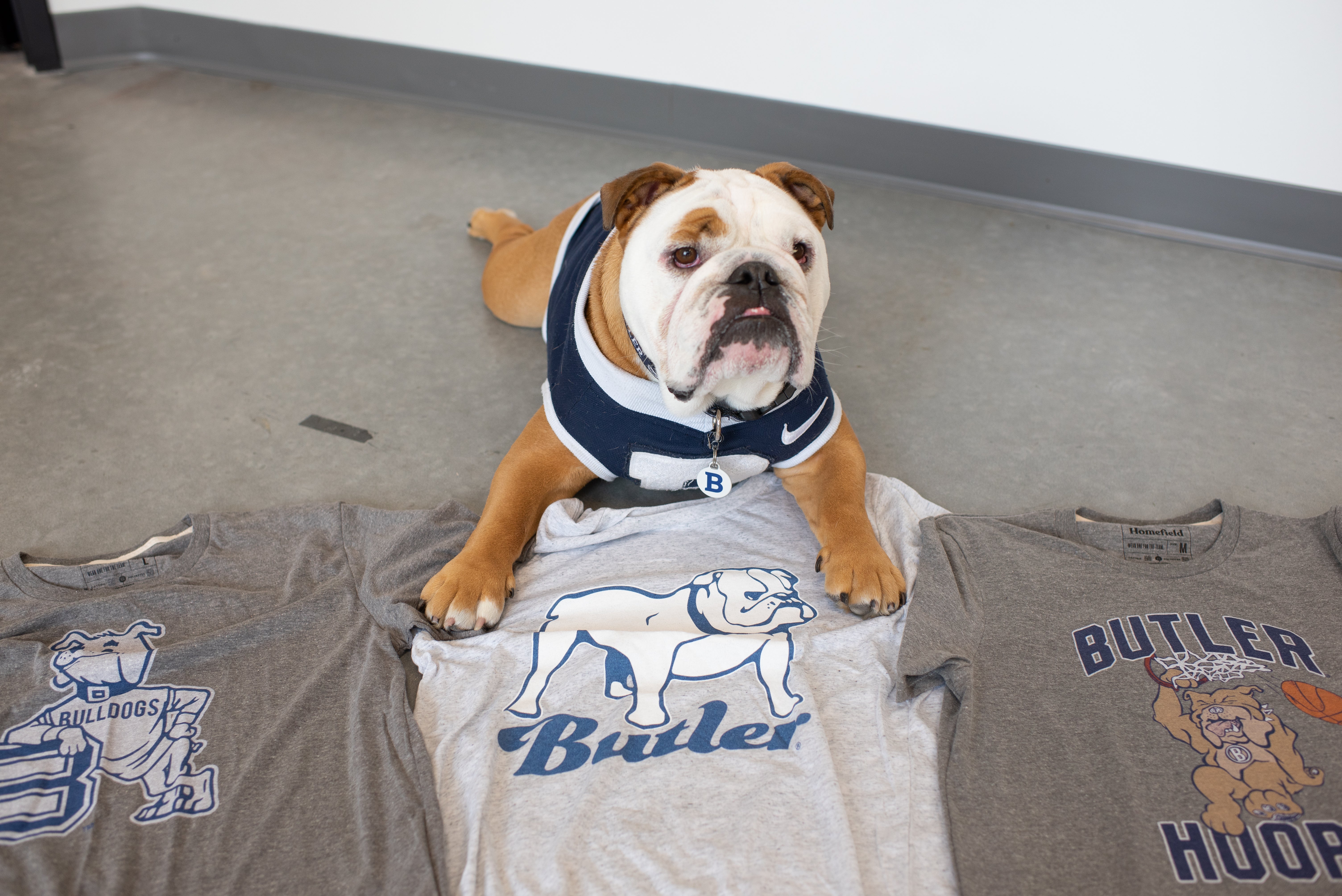 Butler Cc Merch Butler University Bulldogs Apparel | Homefield