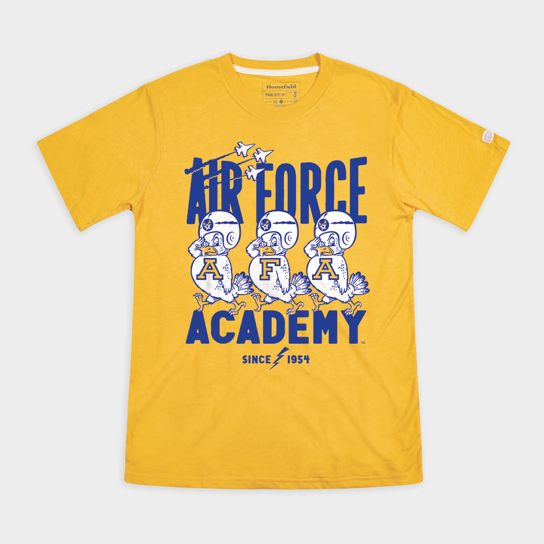 Air Force Academy Falcons Vintage Mascot Tee