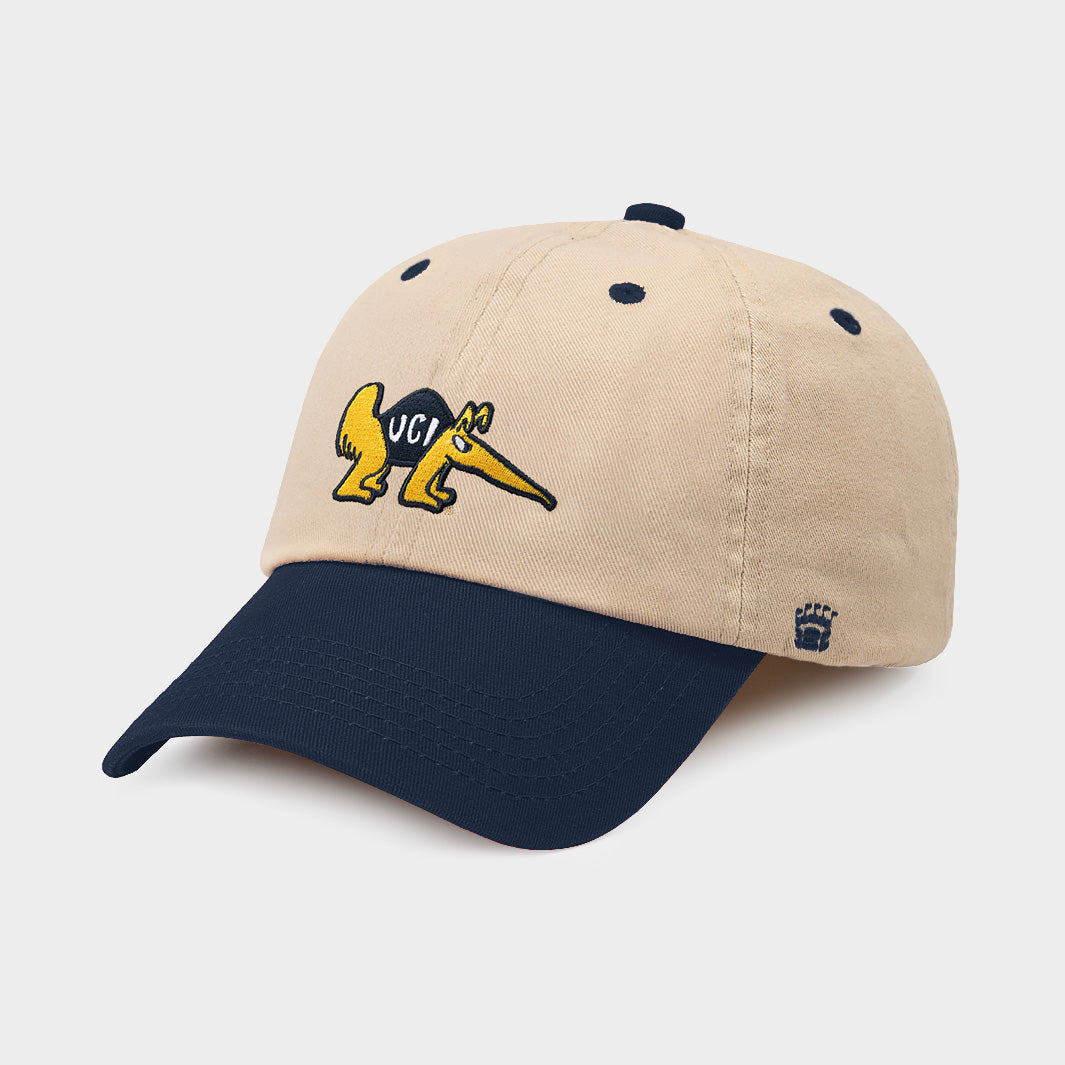 UC Irvine Anteaters Two-Tone Dad Hat