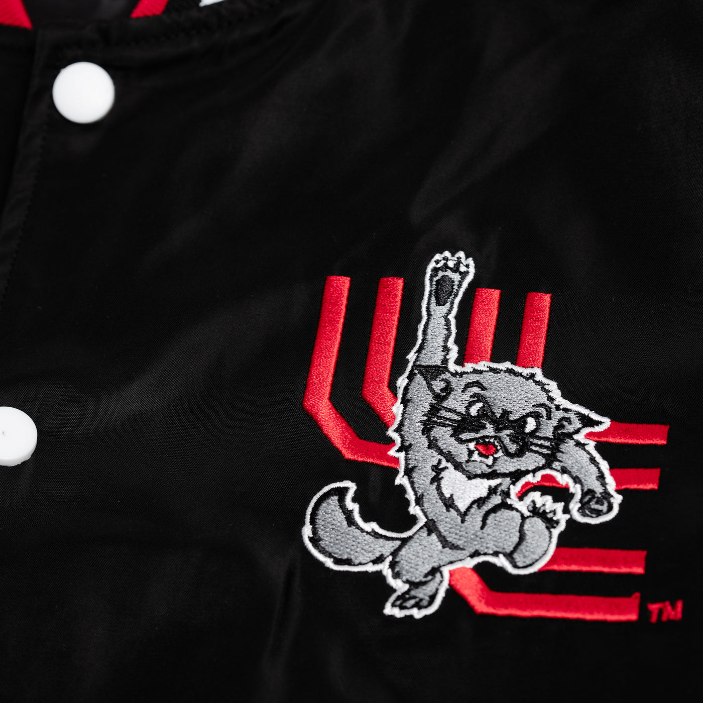 Cincinnati Bearcats 1990s Logo Bomber Jacket
