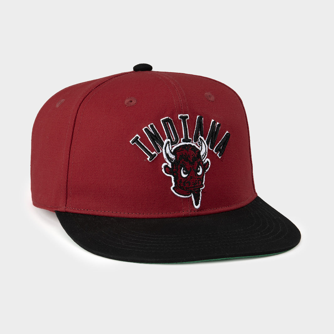 Indiana Roots Hat Indiana Hoosiers Vintage Bison Snapback Hat | Homefield
