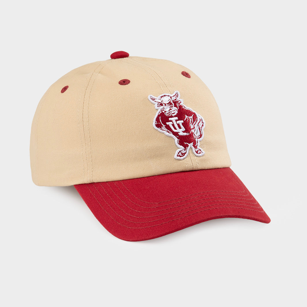 IU Vintage Bison Two-Tone Dad Hat