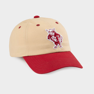 IU Vintage Bison Two-Tone Dad Hat
