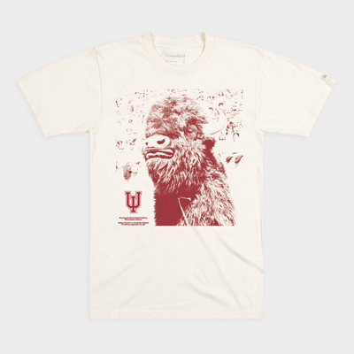 2025 Indiana Platinum Football Box