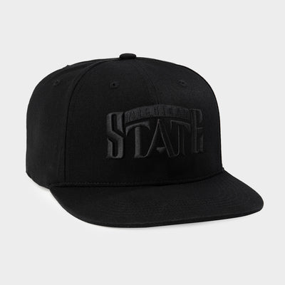 Michigan State Spartans Logo Blackout Snapback Hat