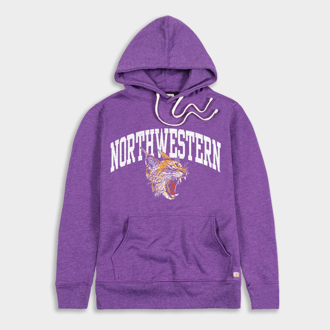 Northwestern Wildcats Roaring Hoodie