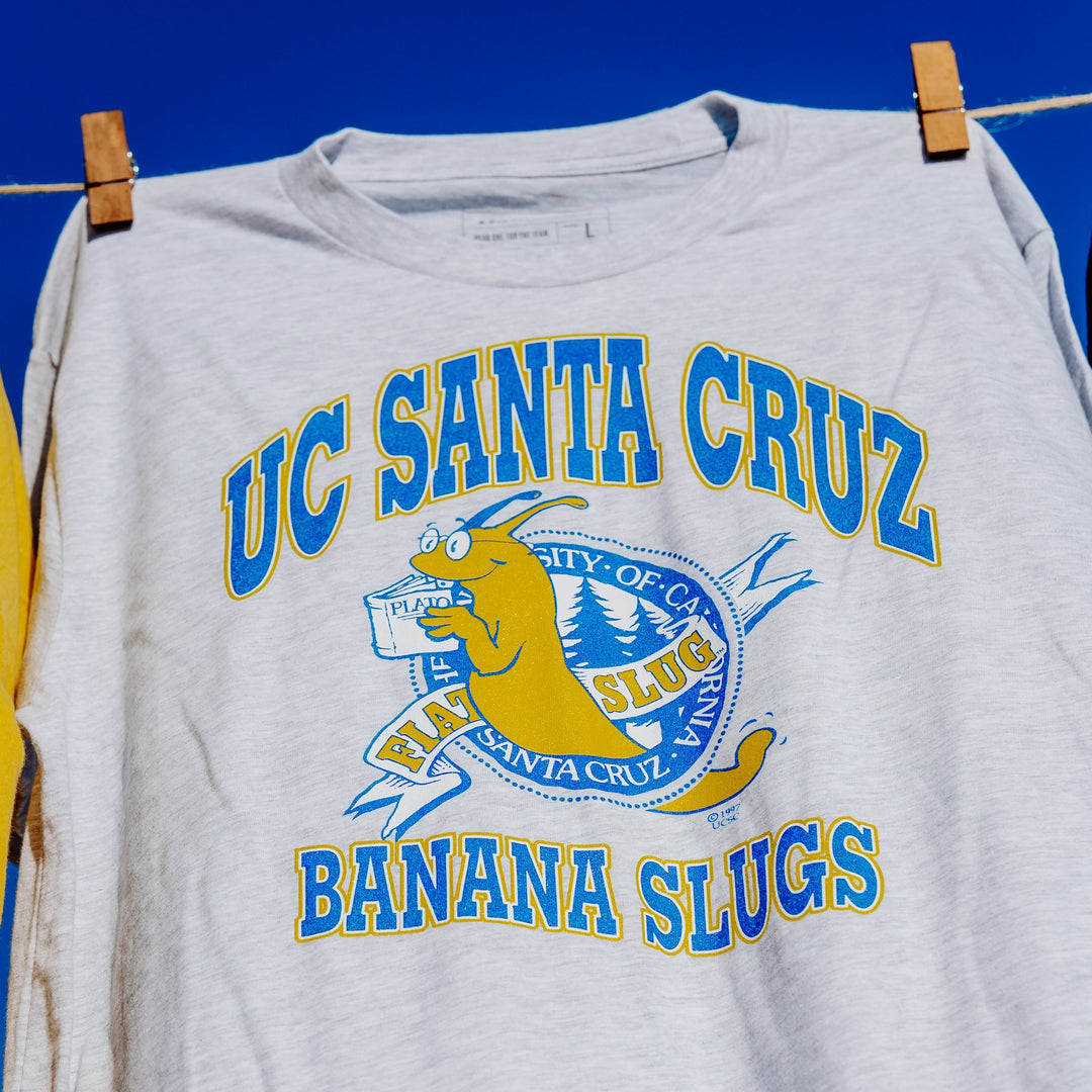 UC Santa Cruz 