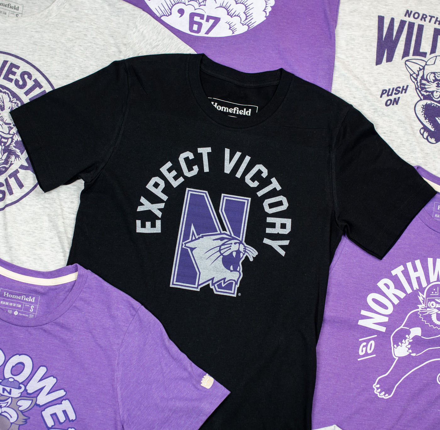 Retro 1995 Northwestern “Expect Victory” Football Tee