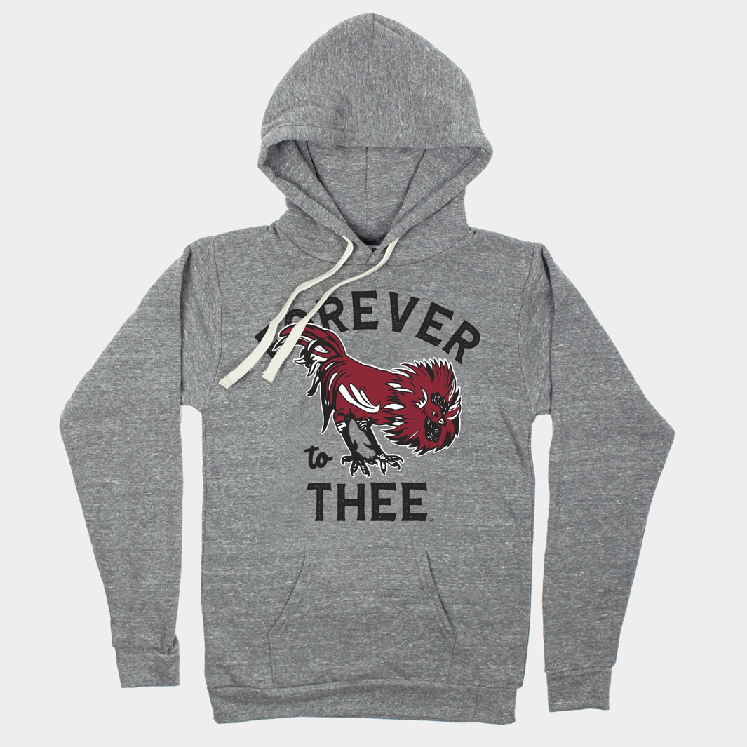 Retro “Forever to Thee” South Carolina Hoodie